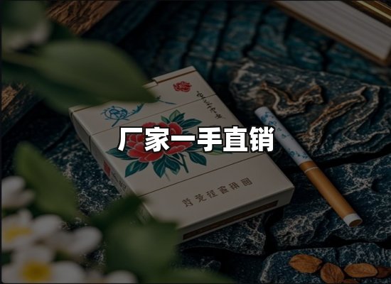 专业优势